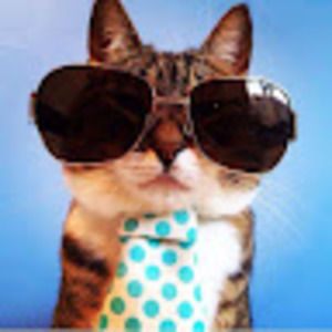 Meet your Posher, Raquel